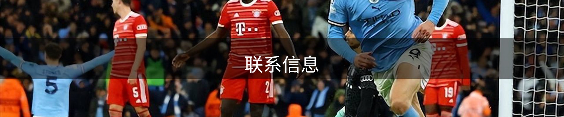 联系信息